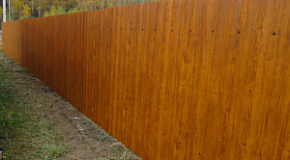 Профлист под дерево для забора золотистый дуб